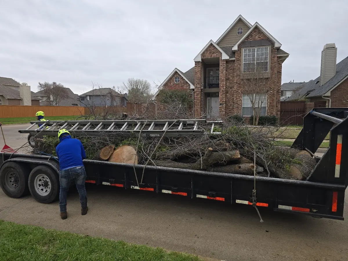Expert Tree Fertilization with proper safety equipment in Posen